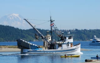 Boat in the harbor.