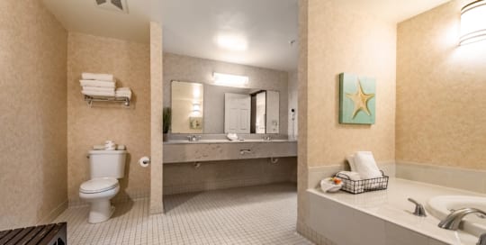 Large bathroom with Jacuzzi tub.